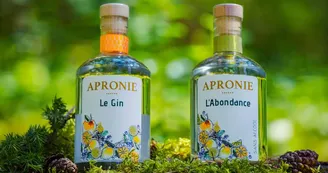 Apronie2.jpg Apronie2.jpg