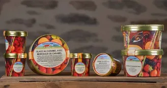 Des glaces de la ferme au lait de brebis - Valérie BRU - GAEC DU MAUBERT