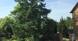 Chambre d'hôtes - Un week-end en Ardenne