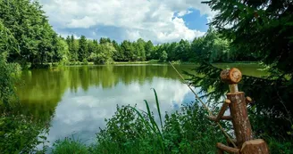 Chambre Les Iris - Lonny - Ardennes