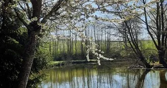 Chambre Les Iris - Lonny - Ardennes