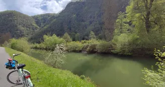 Entre Meuse et forêt