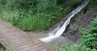 Axe vert thierache