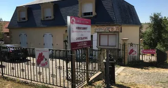 Chambres d'hôtes Orchidée Rose