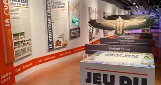Musée - Jeu du vautour