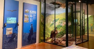 Musée - La volière