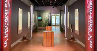 Musée - La disparition