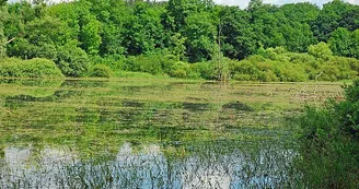 Lac de la Liez