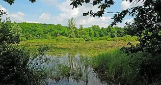 Lac de la Liez