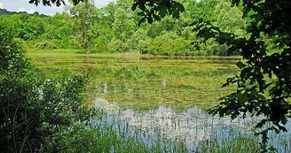 Lac de la Liez