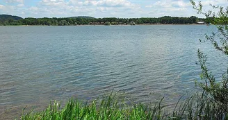 Lac de la Vingeanne