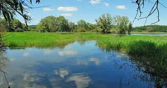 Lac de la Vingeanne