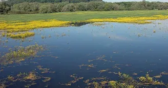 Lac de la Vingeanne
