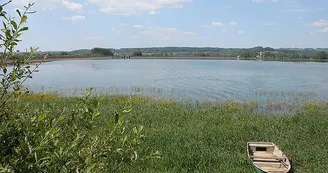 Lac de la Vingeanne