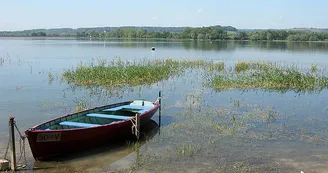 Lac de la Vingeanne