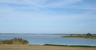Plage - Lac du Der