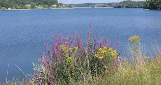 Lac de Charmes Lac de Charmes