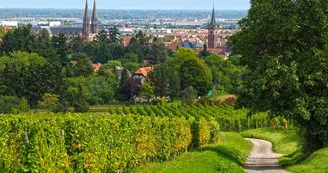 Obernai