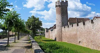 Obernai