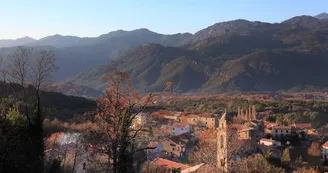 Tavera