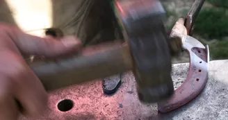 giteequisud3 giteequisud3