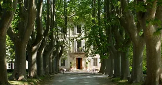 Château des Alpilles Château des Alpilles