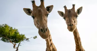 Parc animalier de La Barben