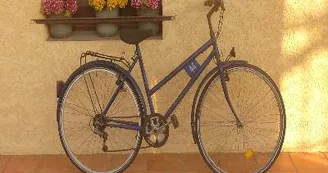 13T3E00102_1_WEB.jpg