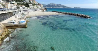 Plage du Prophète Marseille. jpg Plage du Prophète Marseille. jpg