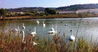 Vitrolles Tourisme Point Info