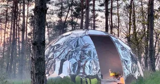 Cocoon