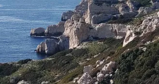 Site de plongée de l'Archipel du Frioul_Marseille