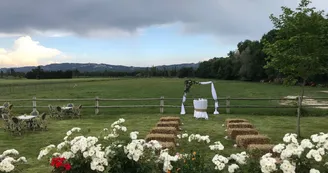 Manade_Caillan_deco