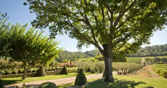 chateau val joanis