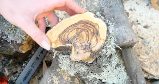 au plus près de la nature