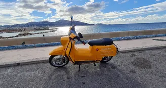 Scooter électrique