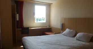 Ibis
