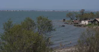 L'étang de Bolmon à Marignane