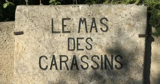 Le Mas des Carassins Le Mas des Carassins
