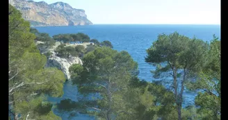 Calanque de Port Pin Marseille