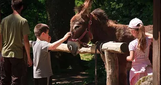 Roulotte de la Ferme des Anes de Vassivière_12