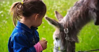Roulotte de la Ferme des Anes de Vassivière_7