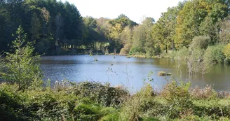 Meublé de tourisme "Bel' Ecaille"_2
