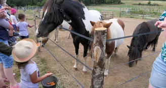 Ferme pédagogique Terr'Happy - Rochechouart Ferme pédagogique Terr'Happy - Rochechouart