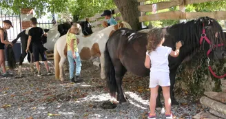 Ferme pédagogique Terr'Happy - Rochechouart Ferme pédagogique Terr'Happy - Rochechouart