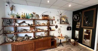 Cabinet de curiosités Cabinet de curiosités