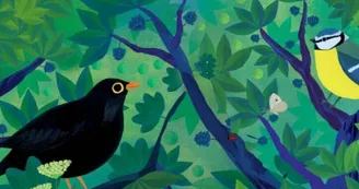 birdie memory birdie memory