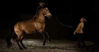 Des chevaux et des hommes Des chevaux et des hommes