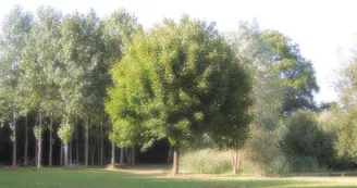 Gîte étape et séjour - Domaine des Mille Oiseaux : Le Grand Piaf
