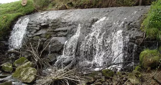 Cascade terrancon Cascade terrancon